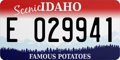 ID license plate E029941