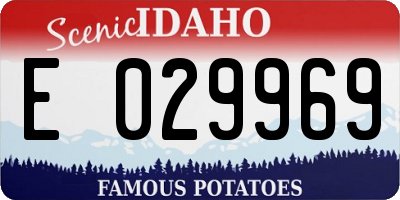 ID license plate E029969