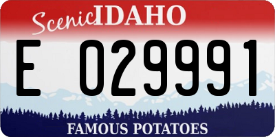 ID license plate E029991