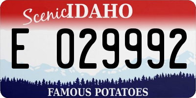 ID license plate E029992