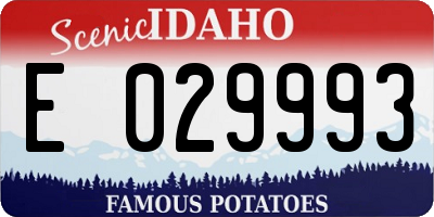 ID license plate E029993