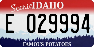 ID license plate E029994