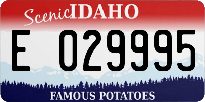 ID license plate E029995