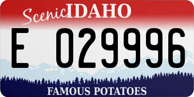 ID license plate E029996