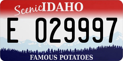 ID license plate E029997