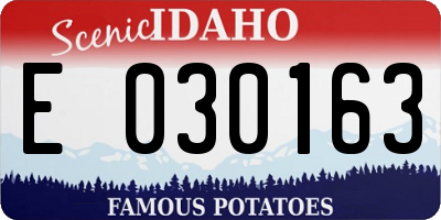 ID license plate E030163