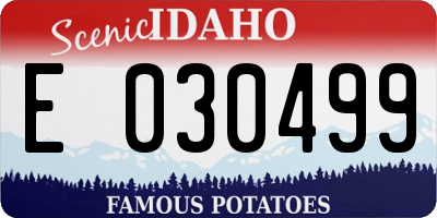 ID license plate E030499