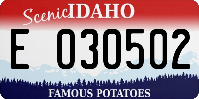 ID license plate E030502