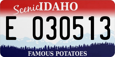 ID license plate E030513