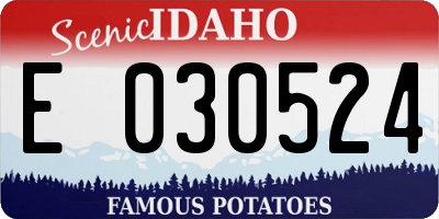 ID license plate E030524