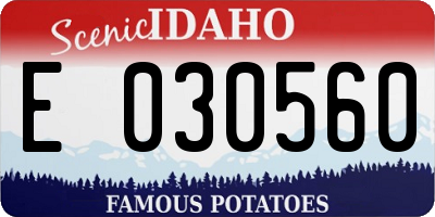 ID license plate E030560