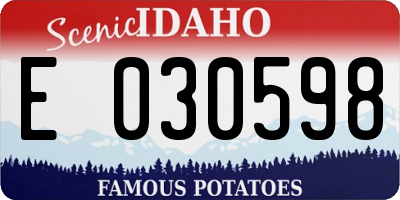 ID license plate E030598