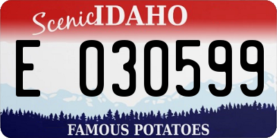 ID license plate E030599