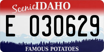 ID license plate E030629