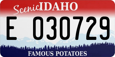 ID license plate E030729