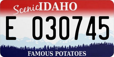 ID license plate E030745