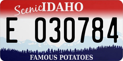 ID license plate E030784
