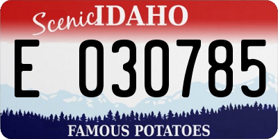 ID license plate E030785