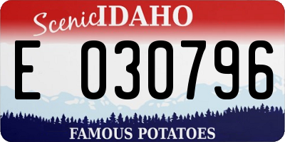 ID license plate E030796