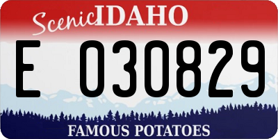 ID license plate E030829
