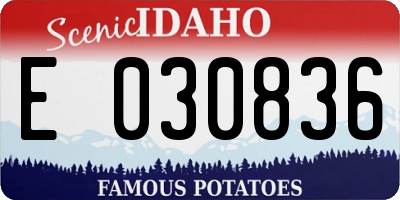 ID license plate E030836