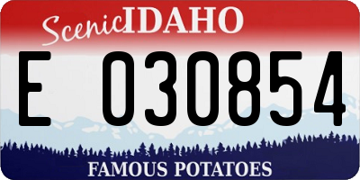 ID license plate E030854