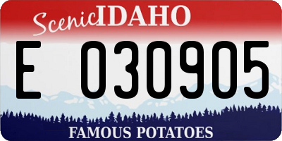 ID license plate E030905