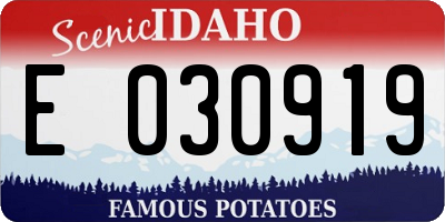 ID license plate E030919