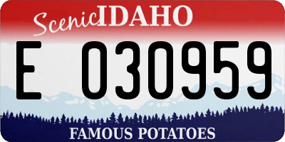 ID license plate E030959