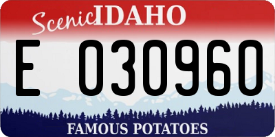 ID license plate E030960