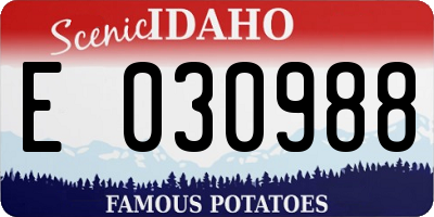 ID license plate E030988