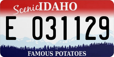 ID license plate E031129