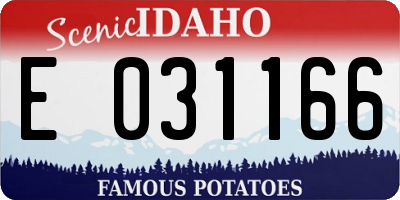 ID license plate E031166