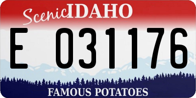 ID license plate E031176