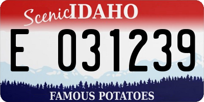 ID license plate E031239