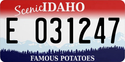 ID license plate E031247