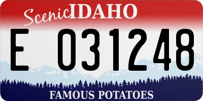 ID license plate E031248