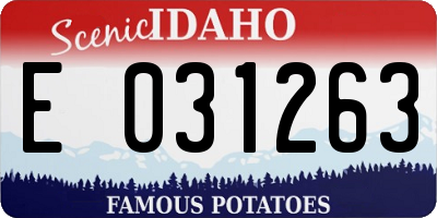 ID license plate E031263