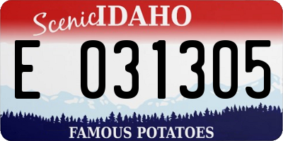 ID license plate E031305