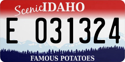 ID license plate E031324