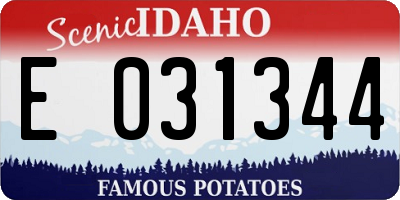 ID license plate E031344