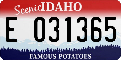 ID license plate E031365
