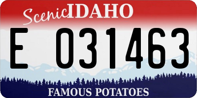 ID license plate E031463