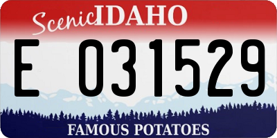 ID license plate E031529