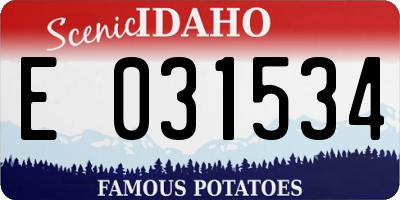 ID license plate E031534