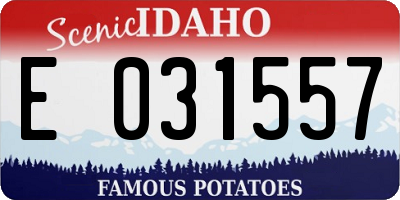 ID license plate E031557