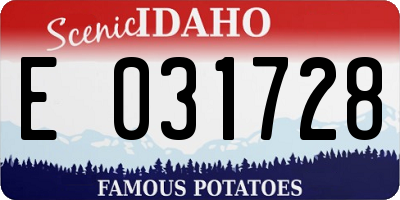 ID license plate E031728