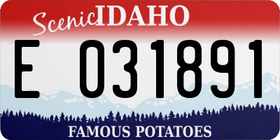 ID license plate E031891