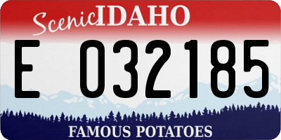 ID license plate E032185