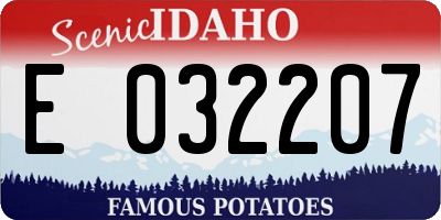 ID license plate E032207